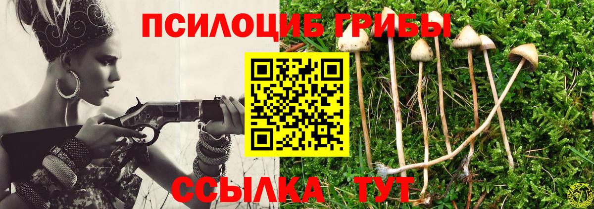 Псилоцибиновые грибы мицелий Нефтекумск